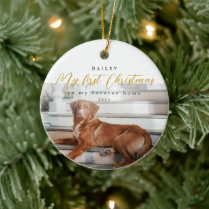 Eerste Kerstmis in My Forever Home Pet Ceramic Orn Keramisch Ornament