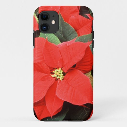 Eerste Kerstmis, iPhone, 5 Hoesje (Achterkant)