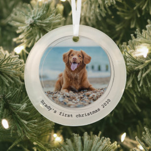 Eerste Kerstmis Moderne Custom Dog Pet Foto Glas Ornament