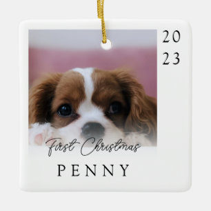 Eerste Kerstmis Nieuwe Puppy Foto Keepsake Keramisch Ornament