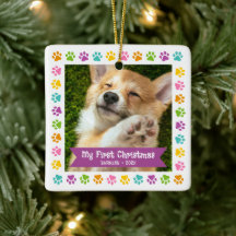 Eerste Kerstmis Pet Puppy Foto Paws Multicolor