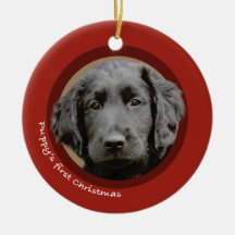 Eerste Kerstmis van de puppy (flatcoatings)