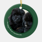 Eerste Kerstmis van Puppy (Newfoundland) Keramisch Ornament (Voorkant)
