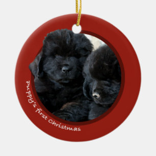Eerste Kerstmis van Puppy (Newfoundland) Keramisch Ornament