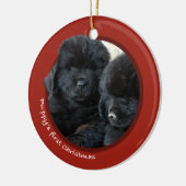 Eerste Kerstmis van Puppy (Newfoundland) Keramisch Ornament (Links)