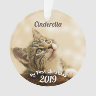 Eerste Kerstmis voor gezelschapsdieren Ornament