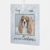 Eerste kerstpop - Silver Dog Pet-foto Glas Ornament (Voorkant links)