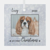 Eerste kerstpop - Silver Dog Pet-foto Glas Ornament (Voorkant)