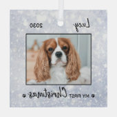 Eerste kerstpop - Silver Dog Pet-foto Glas Ornament (Achterkant)