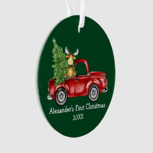Eerste kersttruck van baby eland FOTO ACHTERKANT G Ornament