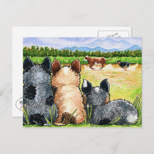 Eerste les van Andie Briefkaart (Voorkant / Achterkant)