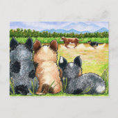 Eerste les van Andie Briefkaart (Voorkant)