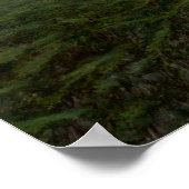 EERSTE LESSON: Kerem Beyit Poster (Hoek)