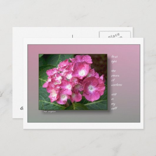 Eerste licht met Hydrangeas Briefkaart (Voorkant / Achterkant)