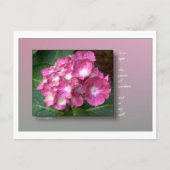 Eerste licht met Hydrangeas Briefkaart (Voorkant)