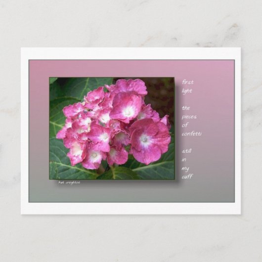 Eerste licht met Hydrangeas Briefkaart (Voorkant)