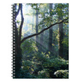 Eerste Licht Notitieboek (Voorkant)