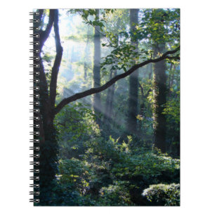 Eerste Licht Notitieboek