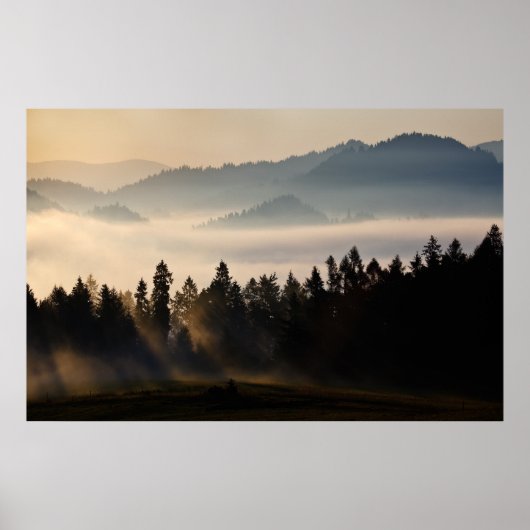 Eerste licht poster (Voorkant)