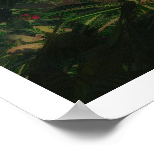 Eerste licht poster (Hoek)