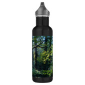 Eerste licht waterfles (Rechts)