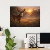 Eerste Licht | Whitetail Deer Kunst | Poster (Thuiskantoor)