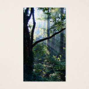 Eerste lichte Bladwijzer Visitekaartje