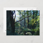 Eerste lichte Briefkaart (Voorkant / Achterkant)