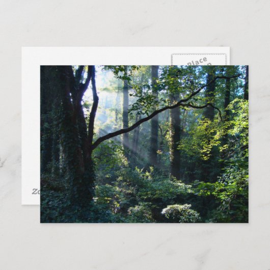 Eerste lichte Briefkaart (Voorkant / Achterkant)