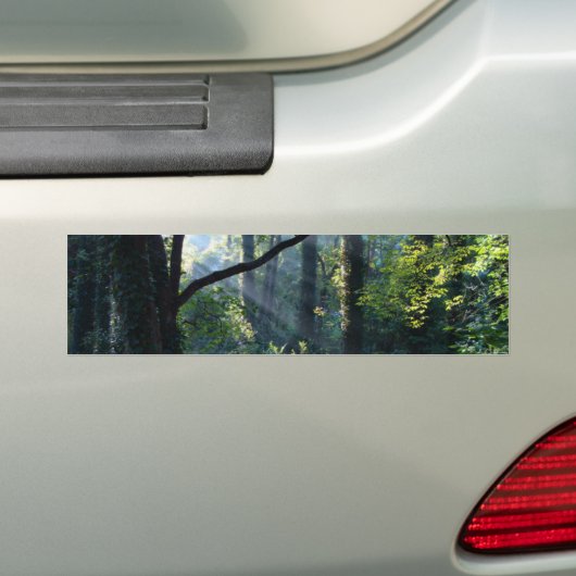 Eerste lichte Bumpersticker (Op auto)
