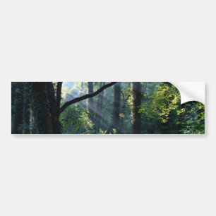 Eerste lichte Bumpersticker
