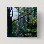 Eerste lichte Button (Voorkant)