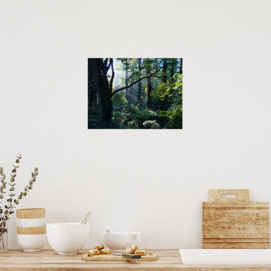 Eerste lichte druk poster (Keuken)