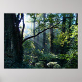 Eerste lichte druk poster (Voorkant)