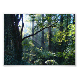 Eerste lichtfoto afdrukken foto afdruk