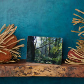 Eerste lichtfoto fotoplaat (Zijkant)