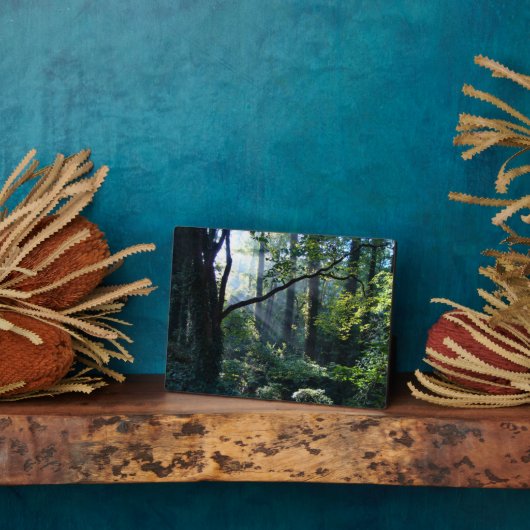 Eerste lichtfoto fotoplaat (Zijkant)