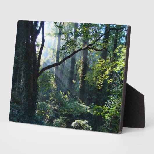 Eerste lichtfoto fotoplaat (Zijkant)