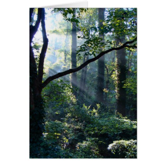 Eerste lichtkaart (Voorkant)