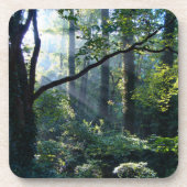 Eerste lichtkurk Onderzetter (Voorkant)