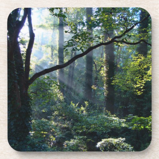 Eerste lichtkurk Onderzetter (Voorkant)