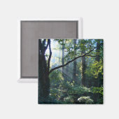 Eerste lichtmagneet magneet (Voorkant / Achterkant)