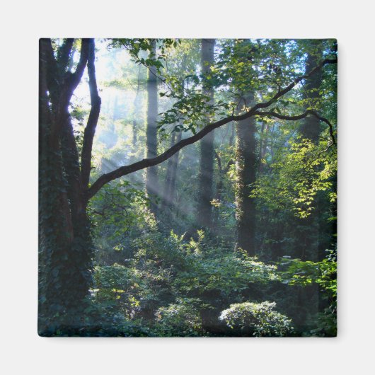 Eerste lichtmagneet magneet (Voorkant)