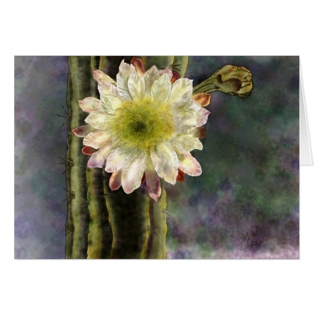 Eerste ochtendverlichting (Voorkant Horizontaal)