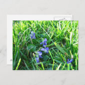 Eerste overvallen voorjaar briefkaart (Voorkant / Achterkant)