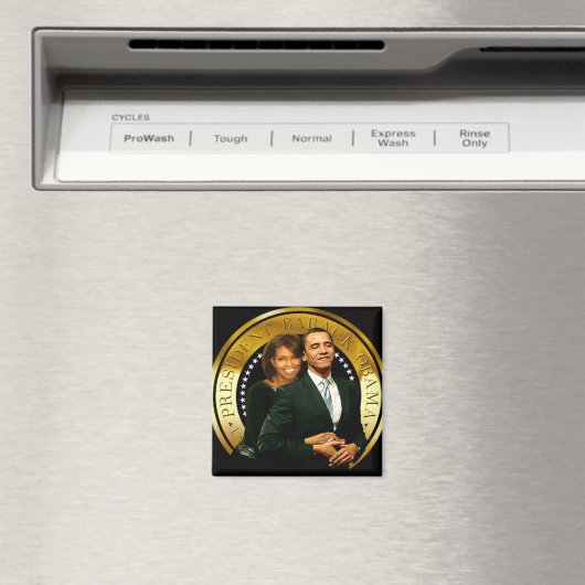 Eerste paar van Amerika Magnet (Insitu (Vaatwasser))