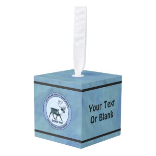 Eerste Polar Airlift Sqdn - Ondergedompeld Decoratie