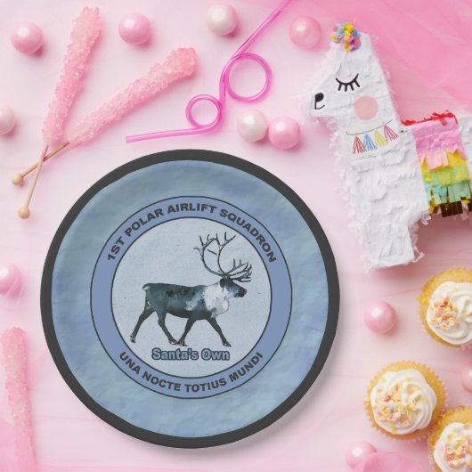 Eerste Polar Airlift Sqdn - Ondergedompeld Papieren Bordje (Feest)