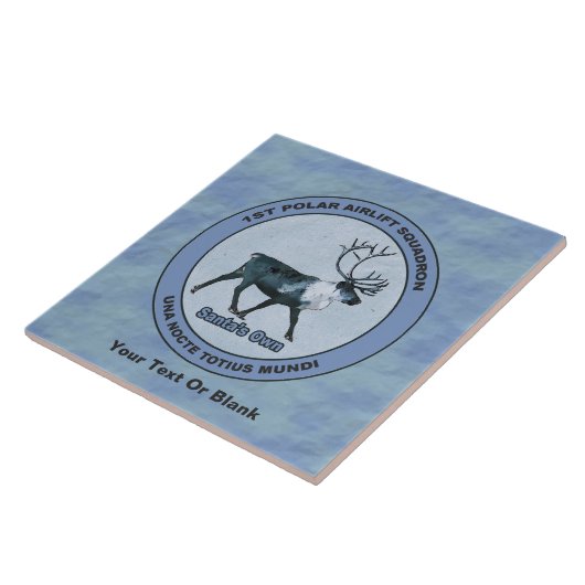 Eerste Polar Airlift Sqdn - Ondergedompeld Tegeltje (Zijkant)