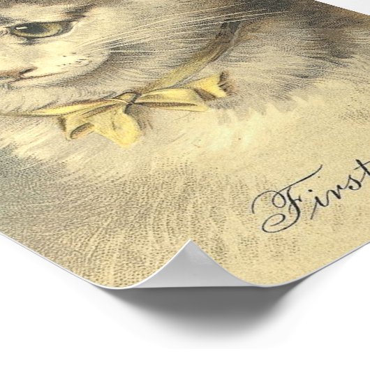 Eerste prijs  kat poster (Hoek)